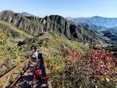 -大岭沟猕猴桃谷风景区