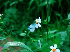 -白鹭湾湿地公园