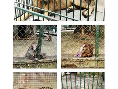 -揭东万竹园旅游景区