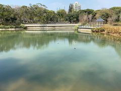 -四海公园(南山区)