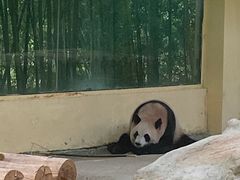 -杭州野生动物世界