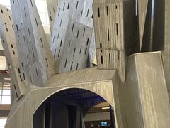 -达拉斯 沃斯堡国际机场