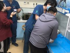 -瑞派·关忠动物医院·猫专科·犬专科(三环新城店)