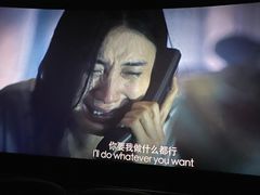 -万象影城(石家庄万象城IMAX激光店)