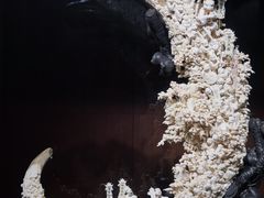 -广东省博物馆