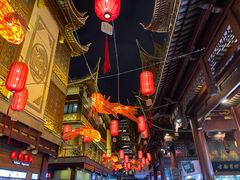 -老桐椿 · 上海大馄饨