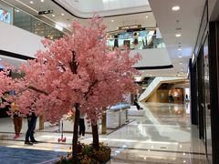 -上海颛桥万达广场