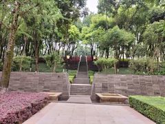 -重庆市江北嘴中央商务区中央公园