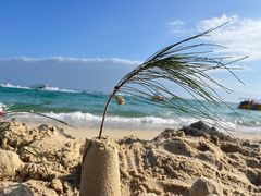 -亚龙湾海底世界