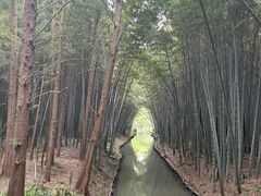 -同里国家湿地公园