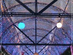 -广州长隆国际大马戏