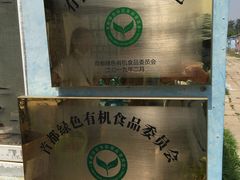 -大自然农场蔬菜草莓采摘园