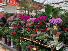 -秦美花卉(天朗·莱茵小城2期店)