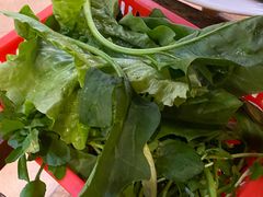 蔬菜盘-荔城生鲜盛宴(番禺旗舰店)