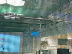 -释鸭台球桌游馆·年会生日团建聚会