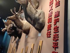 -浙江自然博物院(杭州馆)