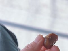 -果多美(纪家庙店)