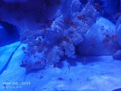 -乌鲁木齐海洋馆