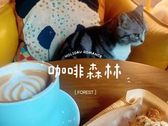 -咖法森林·咖啡  酒吧(天河店)