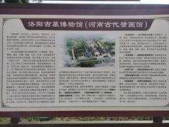 -洛阳古墓博物馆
