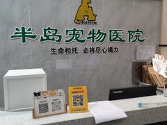 -半岛宠物医院24小时(科华中路店)