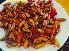 -石屏老字号4号包浆豆腐美食城(泼水广场店)