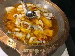 -雲蜀龙阁·金牌水煮鱼(方庄店)