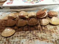 -双合盛自助烤肉(欧亚购物中心店)