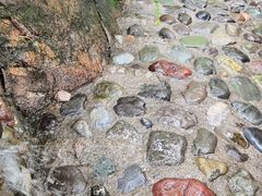 -北京凤凰岭