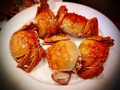 -金茂君悦·食在56海鲜自助餐厅ON56