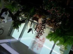 android_upload_pic-小左美发