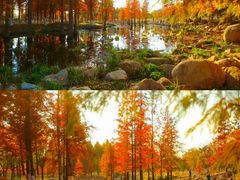 -龙口南山旅游景区