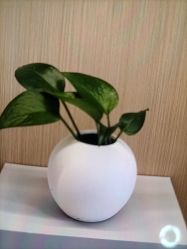 -Dr.林醫生产后修复·配方产康(南京江宁万达店)