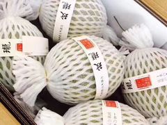 -沈阳市八家子水果批发市场