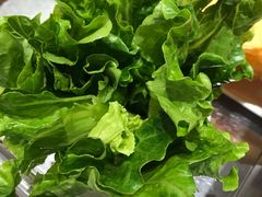 -古乐牛香·鲜牛肉牛杂火锅(新区店)