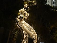 -福道