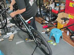 -道路口单车爱瓦士dahon大行