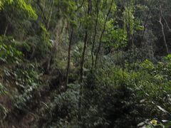-南丹山森林王国