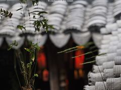 -普洱茶府(博乐广场店)