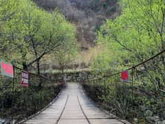 -黑河国家森林公园