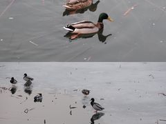 -颐和园