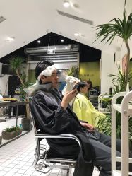 -大象造型