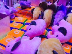 -大玩家(中原万达广场店)