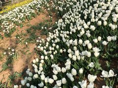 -济南植物园