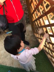 -萌宠亲子动物乐园(槐房万达店)