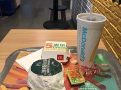 -麦当劳(郑州东高铁站店)