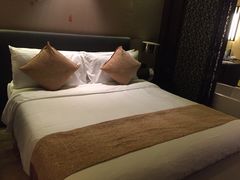 -成都保利公园皇冠假日酒店(熊猫基地店)