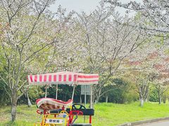 -南湖湿地公园