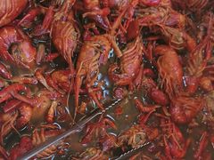 -哈尔滨小酒馆·鲜肉现穿自助烧烤(康新花园店)