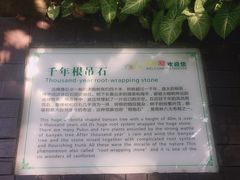 -呀诺达热带雨林